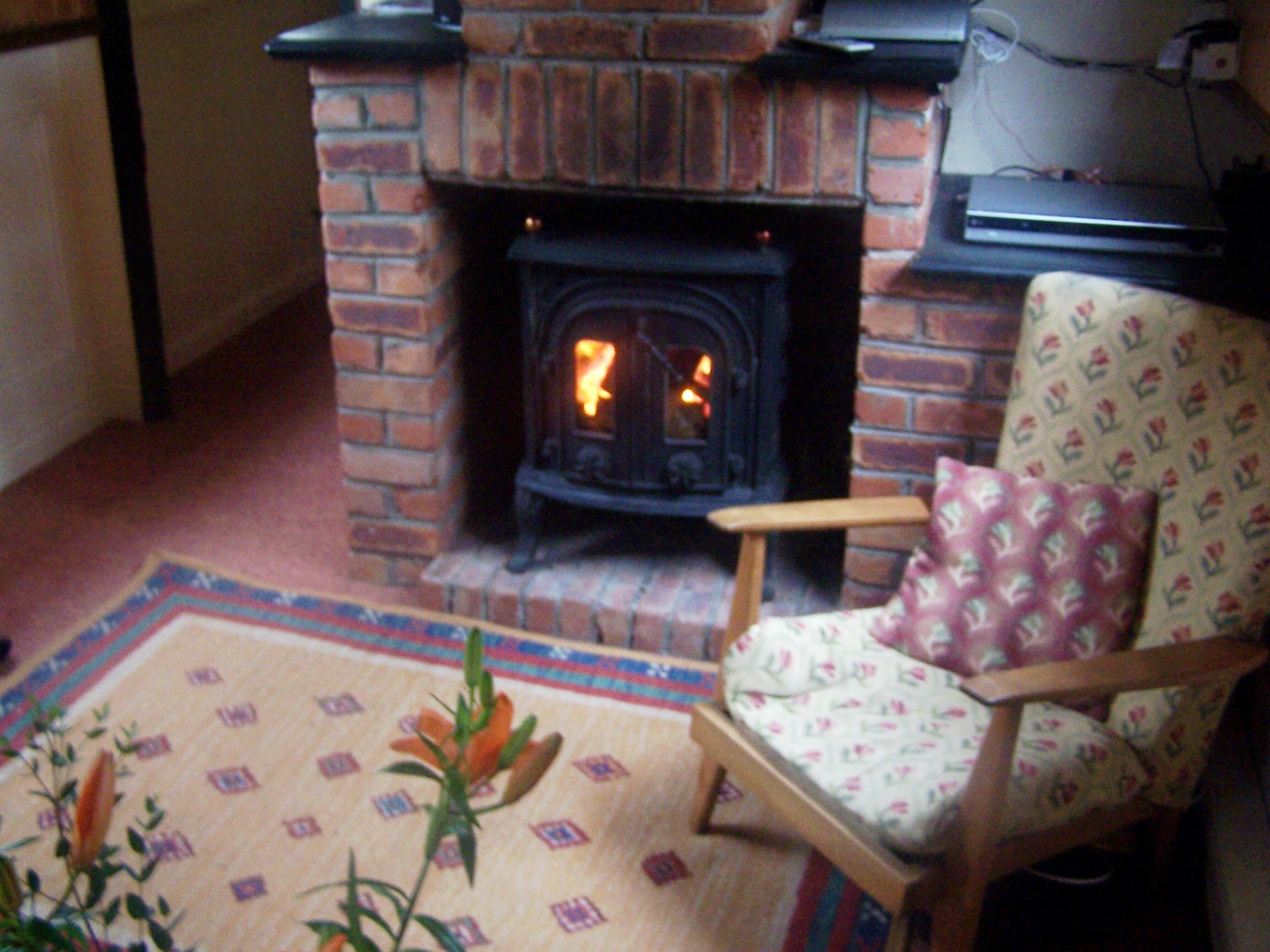 10kw wood burning stove